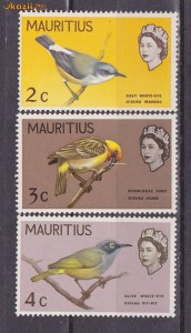 Timbre Mauritus 1965 Pasari nestampilate foto