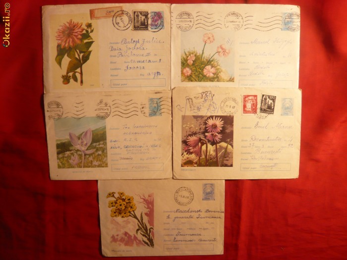 5 Intreguri Postale - FLORA ,  1964- 1967 foto mare