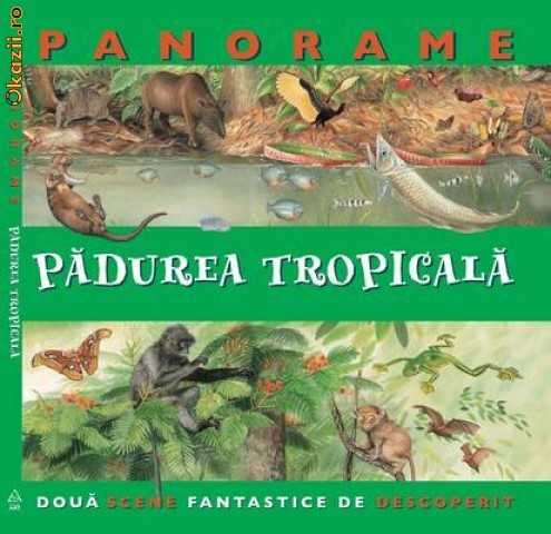 Padurea tropicala - 118320 foto mare