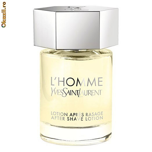 Yves Saint Laurent L Homme EDT - 100 ml foto mare