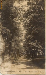 C.P. - IASI, Gradina Copou, necirculata foto