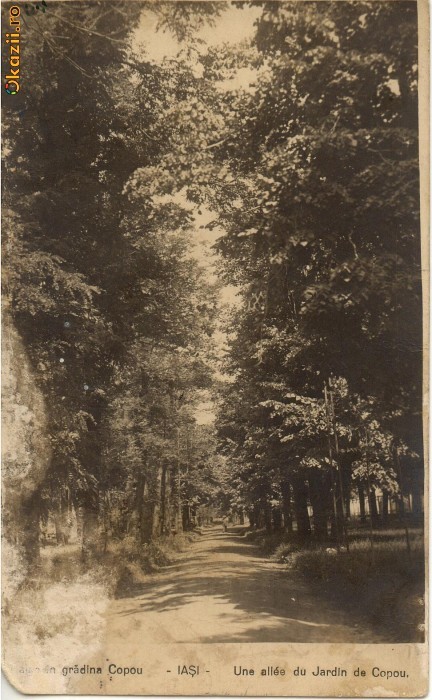 C.P. - IASI, Gradina Copou, necirculata foto mare